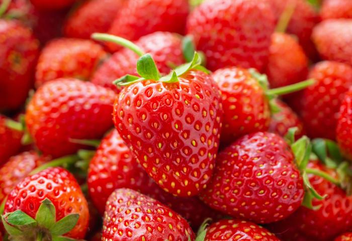 Nahaufnahme mehrerer reifer roter Erdbeeren mit grünen Blättern