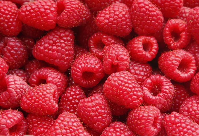 Nahaufnahme mehrerer reifer Himbeeren