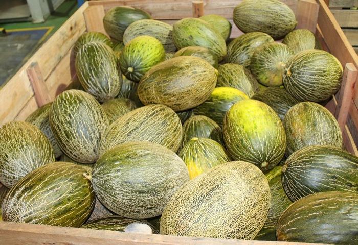 Kiste mit Melonen aus Castilla La Mancha, oval und grün mit hellen Streifen