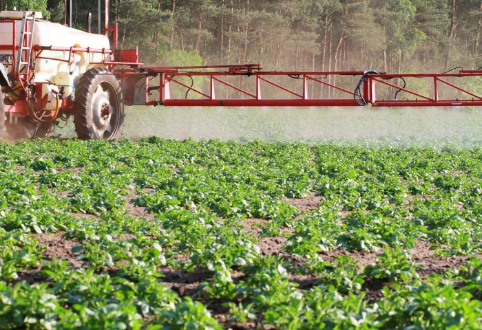 Landwirtschaftlicher Traktor mit Pflanzenschutzspritze besprüht grüne Feldfrüchte vor Wald