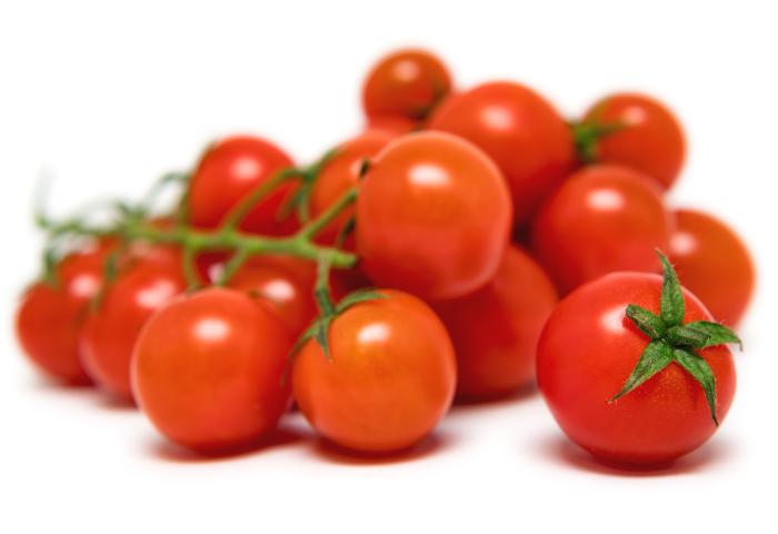 Reife rote Kirschtomaten an grünen Stielen auf weißem Hintergrund