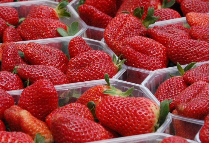 Frische rote Erdbeeren mit grünen Blättern in transparenten Plastikschalen, bereit zum Verkauf