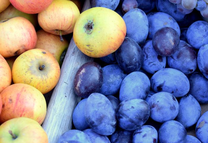 Äpfel und Pflaumen
