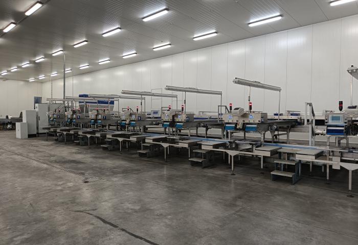 Lange Sortierlinie mit mehreren Förderbändern und Kontrollstationen in einer großen, hell beleuchteten Industriehalle