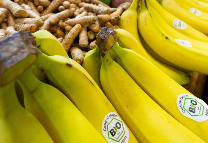 Bio-Bananen auf einem Regal, Mangos im Hintergrund