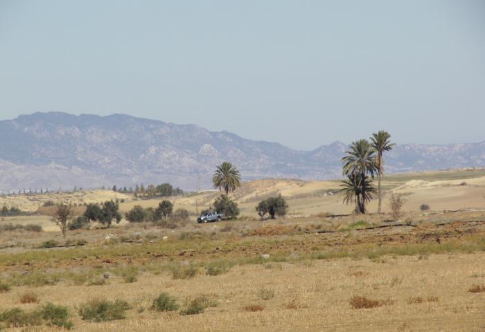 Trockene, braune Landschaft mit wenigen Palmen und einem Auto, im Hintergrund Berge unter klarem Himmel