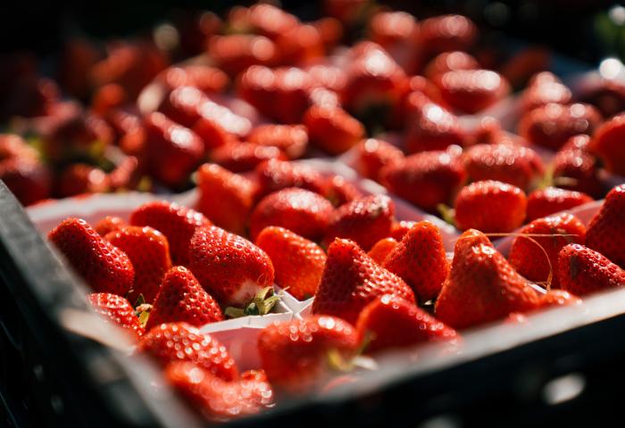 Nahaufnahme von mehreren roten Erdbeeren in einer schwarzen Kunststoffkiste