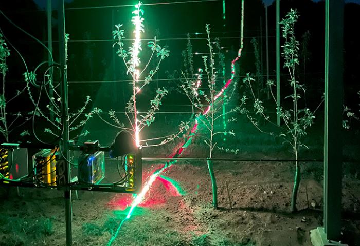 Bei diesem Apfelbaum-Scan ist zu sehen, wie die Laserlinie im Hintergrund den Waldrand beleuchtet.
