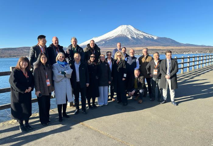 Delegation in Japan