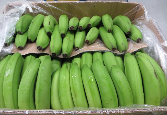 Bananen im Karton