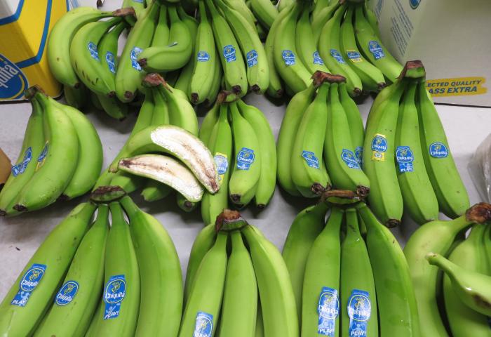 grüne Bananen - ganz und aufgeschnitten