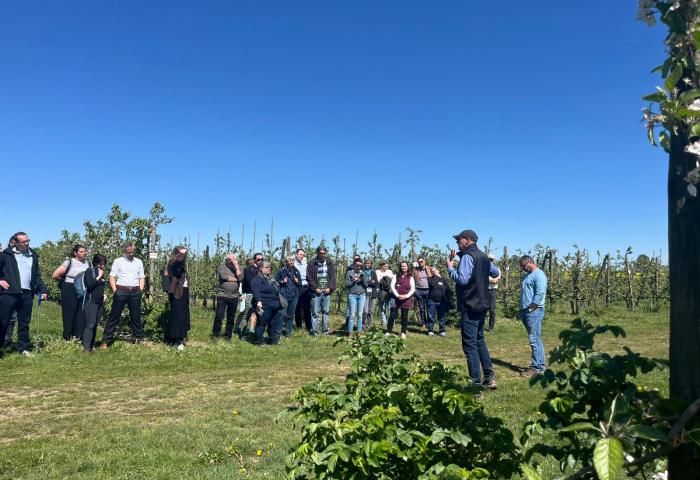 Gruppe von etwa 15 Personen steht auf einer Wiese vor einer Reihe von Obstbäumen, ein Mann spricht zur Gruppe, blauer Himmel