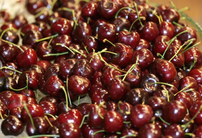 Viele dunkelrote Kirschen mit Stielen auf einer Oberfläche verteilt