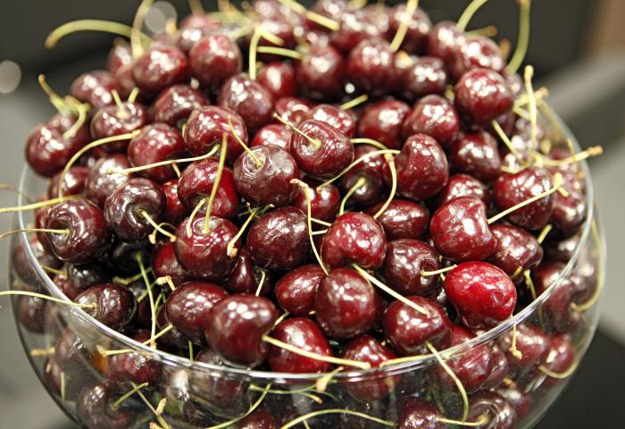 Schale mit vielen dunkelroten Kirschen mit Stielen