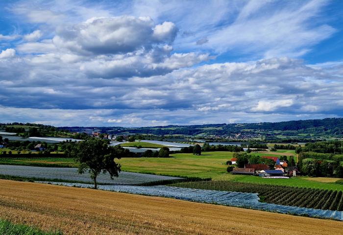 Blick auf landwirtschaftliche Felder und einen Bauernhof am Bodensee unter leicht bewölktem Himmel