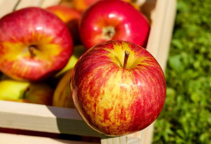 Äpfel in Holzkiste
