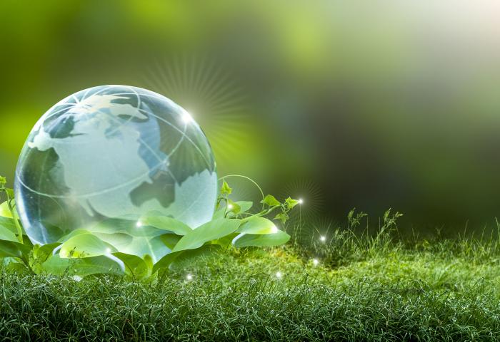 Glas-Weltkugel im Gras
