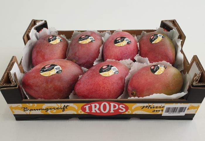 Mangos in Karton