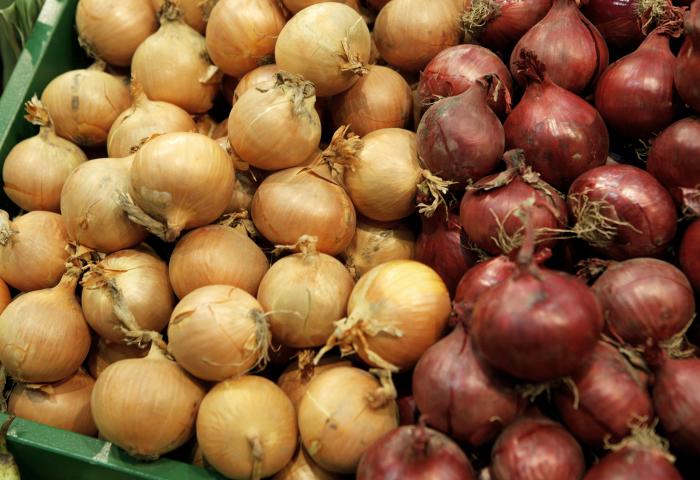 Gelbe und rote Zwiebeln nebeneinander in einer grünen Kiste angeordnet