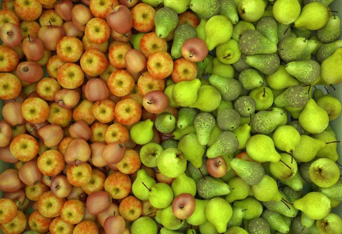 Birnen und Äpfel