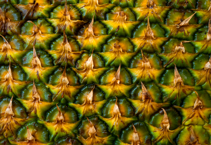 Nahaufnahme der schuppigen, gelb-grünen Oberfläche einer Ananas mit spitzen, braunen Enden