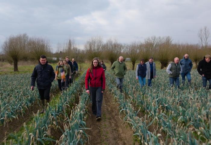 Gruppe von Personen, die durch ein Feld mit Zwiebelpflanzen gehen, umgeben von Bäumen im Hintergrund, bewölkter Himmel.