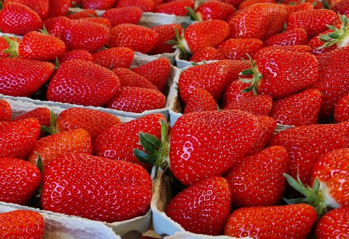 Frische rote Erdbeeren in eng aneinander stehenden Pappschalen