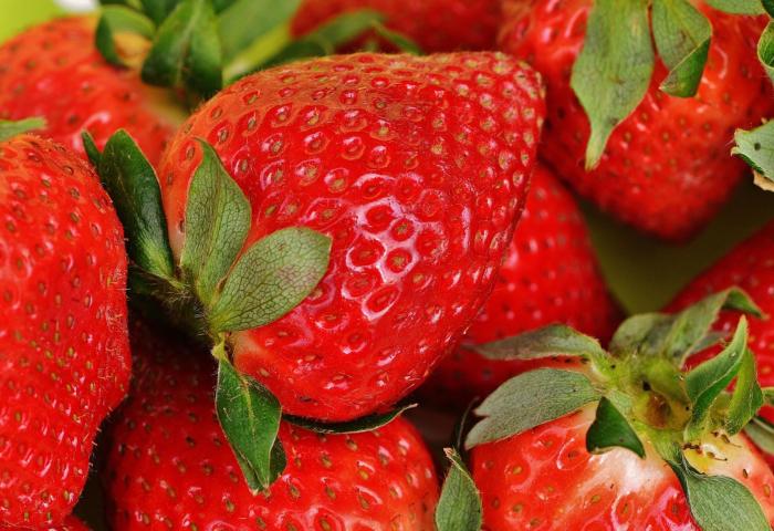 Nahaufnahme mehrerer reifer roter Erdbeeren mit grünen Blättern