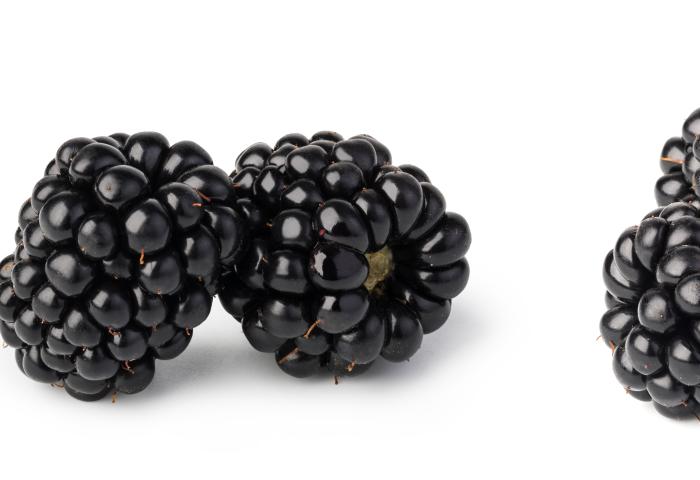Insgesamt sechs reife Brombeeren auf weißem Hintergrund, eine liegt einzeln, daneben zwei bzw. dann drei zusammen