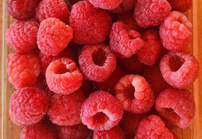 viele Himbeeren