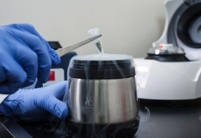 DNA-Extraktion und -Sequenzierung im Labor