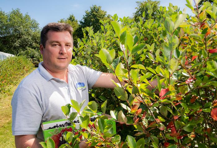 Lars Grossmann auf einer Aronia-Plantage