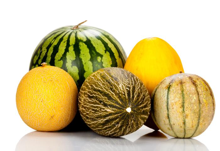Fünf verschiedene Melonen: eine grüne Wassermelone, zwei gelbe Honigmelonen, eine grüne Netzmelone und eine gelb-grün gestreifte Melone auf weißem Hintergrund