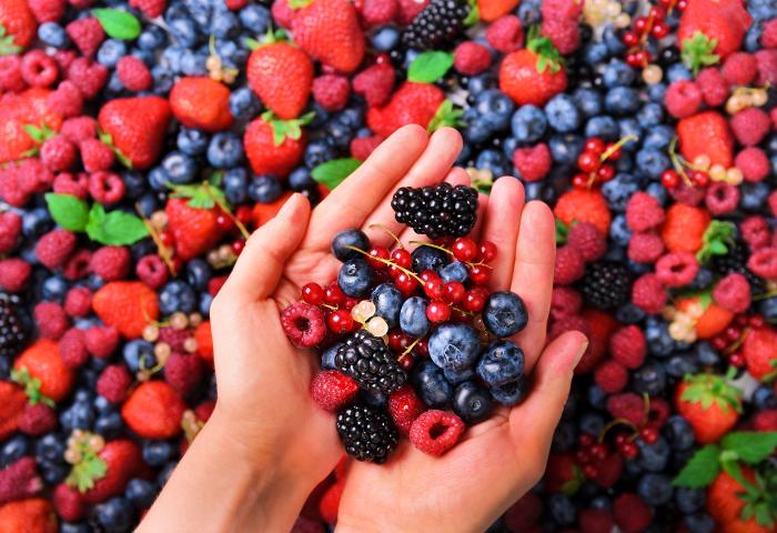 Mix aus Beeren im Hintergrund und in zwei Händen
