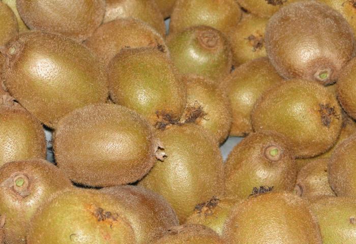 Mehrere braune Kiwis mit pelziger Schale liegen dicht beieinander