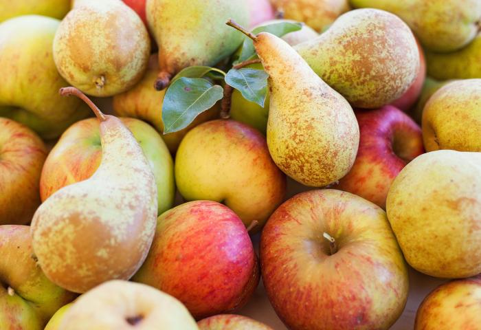 Verschiedene reife Birnen und Äpfel, einige Birnen mit grünen Blättern, Nahaufnahme
