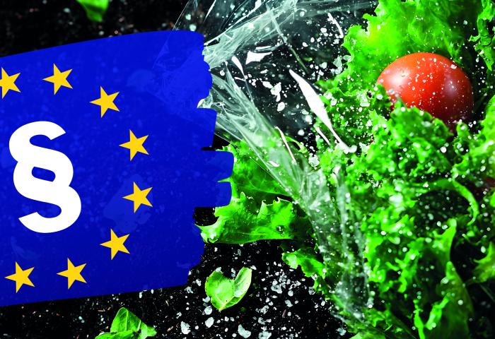 Europäische Flagge mit Paragraphenzeichen vor spritzendem Wasser und frischem Salat mit Tomate