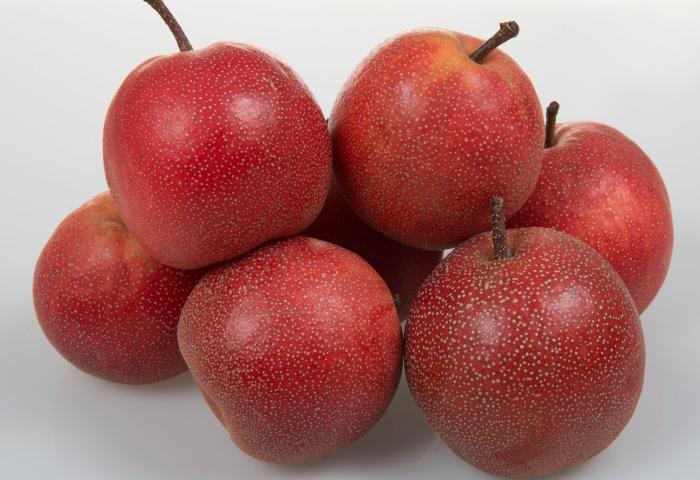 Sechs rote Nashi-Birnen mit Stielen, auf weißem Hintergrund