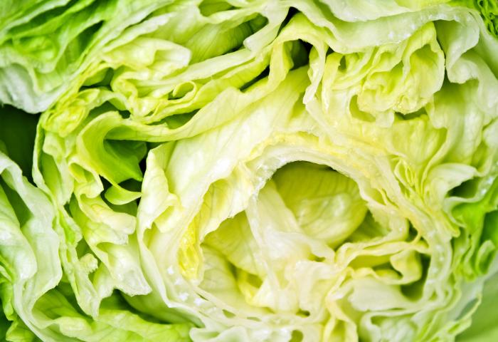 Nahaufnahme eines grünen Kopfsalats mit sichtbaren, gewellten Blättern und einem hellen Inneren