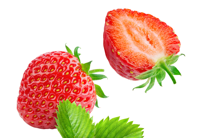 Eine ganze Erdbeere und eine halbierte Erdbeere liegen auf einem Blatt. Die ganze Erdbeere hat eine glänzende rote Oberfläche mit grünen Blättern.