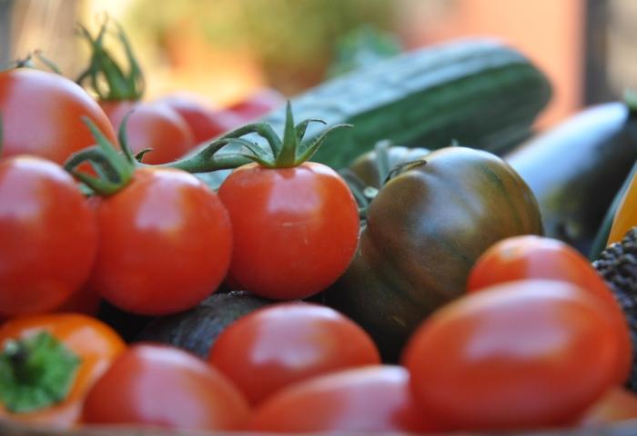 Verschiedene Tomaten und eine Gurke, darunter rote runde Tomaten und eine grün-braune Tomate