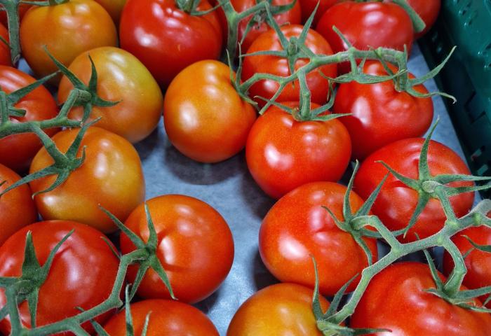 Rote Tomaten an grünen Stielen in einer Kiste