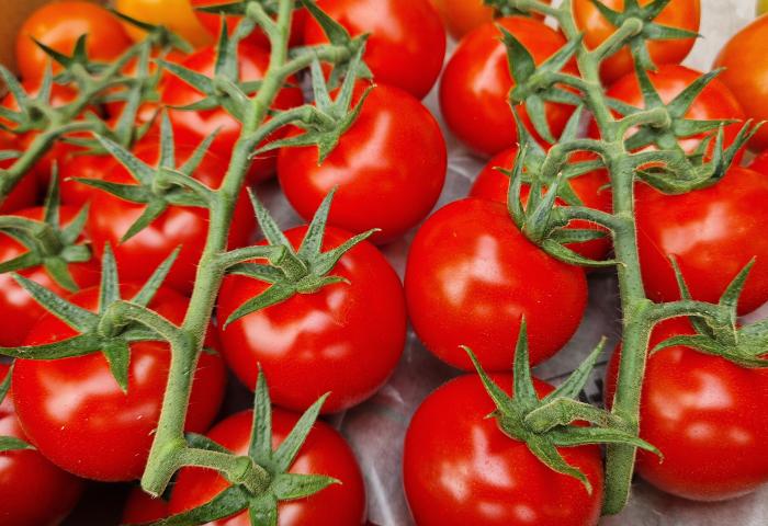 Rote Kirschtomaten an grünen Stielen, dicht nebeneinander liegend
