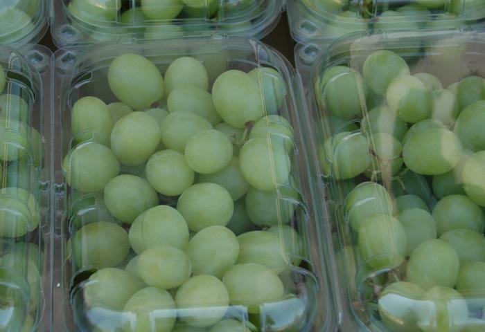 Mehrere Plastikbehälter mit grünen Trauben, dicht gepackt