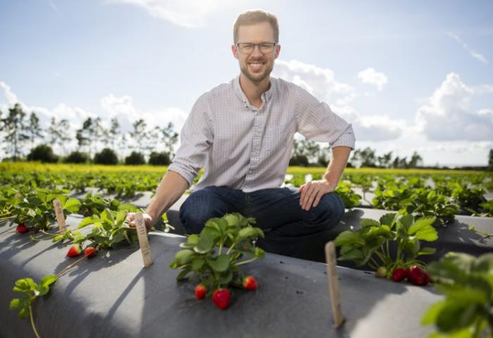 Vance Whitaker kniet auf einem Feld mit Erdbeerpflanzen, hält ein Holzschild und trägt ein kariertes Hemd und Jeans