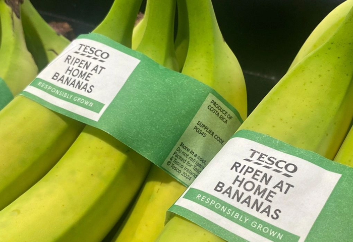 Bündel grüne Bananen mit Tesco-Etiketten 'Ripen at Home Bananas' und Hinweis 'Responsibly Grown'