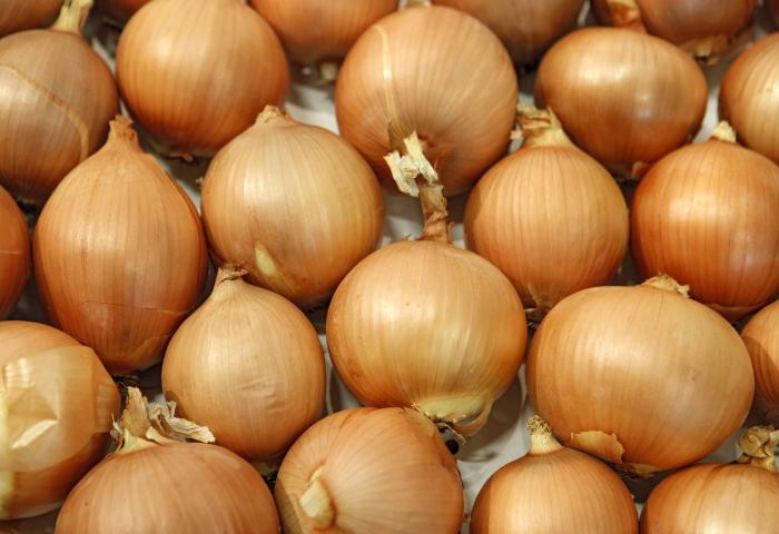 Mehrere gelbe Zwiebeln mit trockenen Stielen, angeordnet auf einer Oberfläche