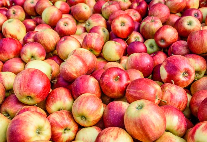 Eine große Menge Äpfel in verschiedenen rot-gelb Tönen, dicht nebeneinander liegend.