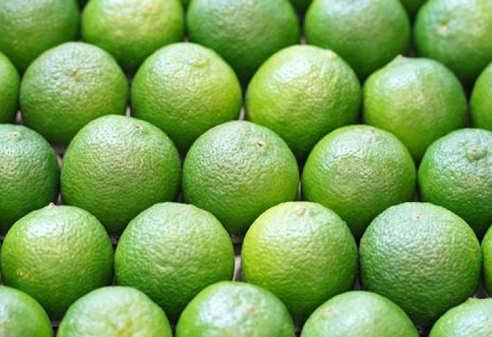 Limetten
