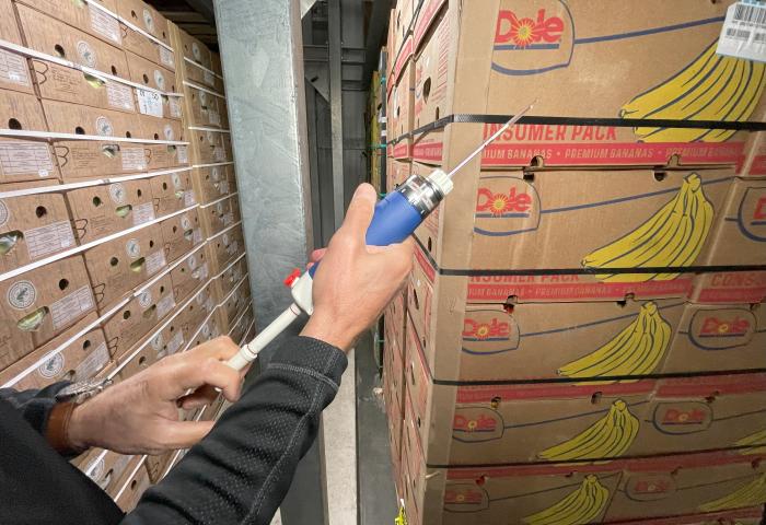 Zwei Hände halten ein blau-weißes Messgerät, das auf einen Stapel Dole-Bananenkartons gerichtet ist, in einem Lagerraum mit weiteren Kartons.